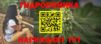 mdma Новозыбков
