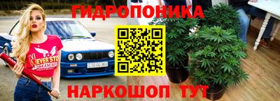 дурь Новодвинск